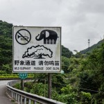 Elephants, don't blow!