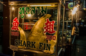 Chinatown Haifischflosse